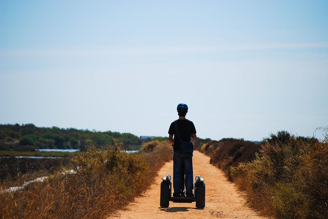 Ria Formosa Natural Park Birdwatching Segway Tour from Faro - Weather and timing: when your odds improve