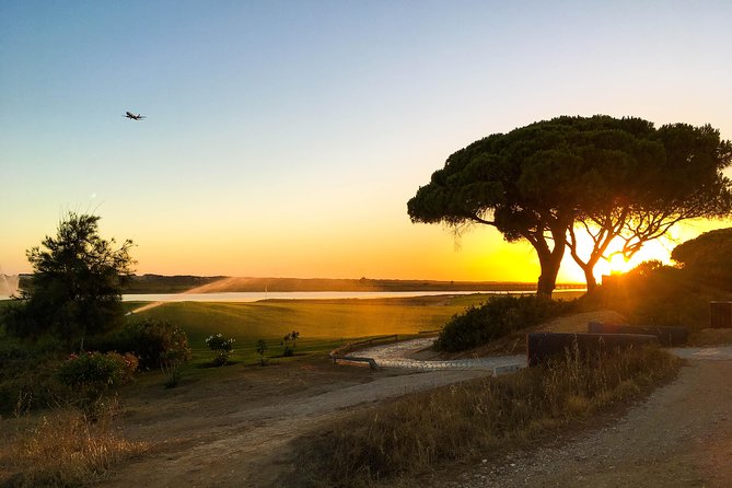Ria Formosa Natural Park Birdwatching Segway Tour from Faro - Price, value, and what you’re paying for