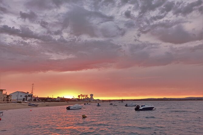 Ria Formosa Sunset 1 hour Boat Trip in Faro - The Ria Formosa stop: channels, tides, and protected bird life