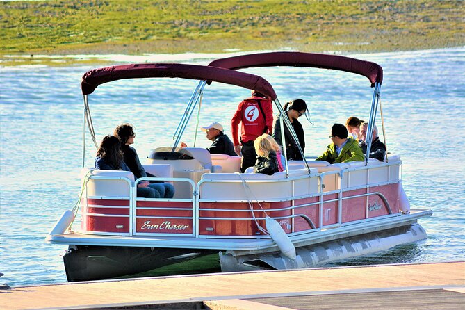 Ria Formosa Sunset 1 hour Boat Trip in Faro - Spotting spoonbills and herons: how to watch without missing everything