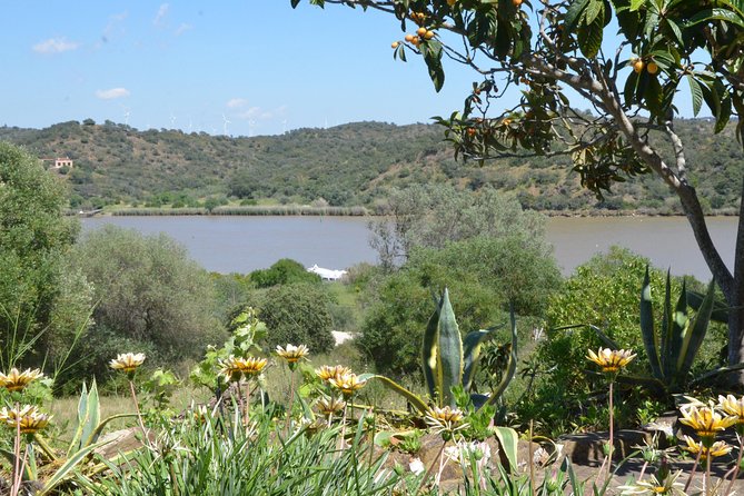 Rio Guadiana River Cruise - Onboard entertainment and the staff, this is where the tour wins hearts