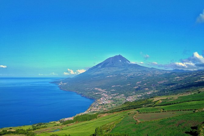 Route DA Pico Island - Prainha forest stop: a short walk that changes your sense of the island