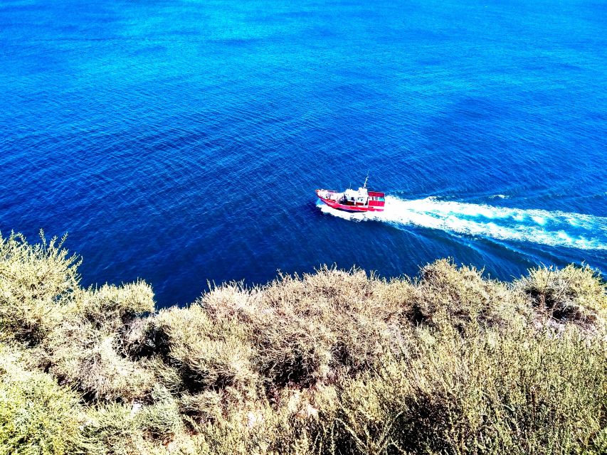 Sagres & Cape St. Vincent Half-Day Tour from Lagos - Pace, timing, and how the 3 hours really feel