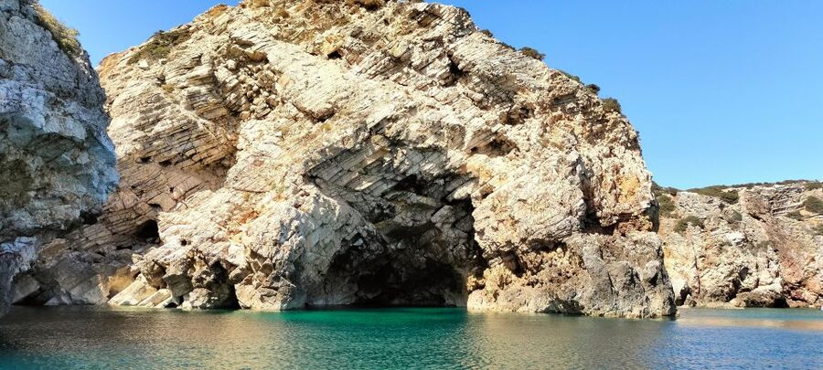 Sagres: Wildlife Tour Dolphins and Caves - Why Sagres Dolphins and Caves Fit Together in One 2-Hour Trip
