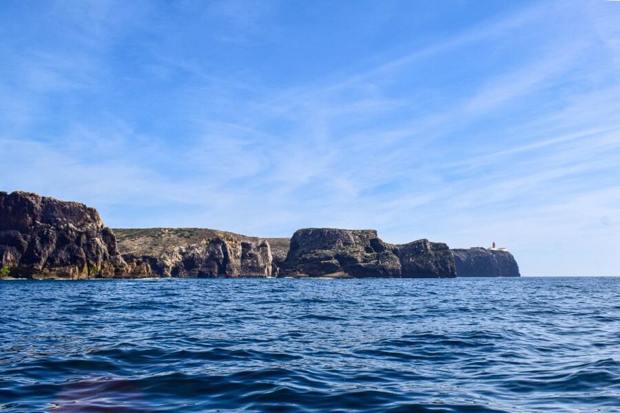 Sagres: Wildlife Tour Dolphins and Caves - Meeting at Cape Cruiser by Baleeira Port: What the Start Feels Like