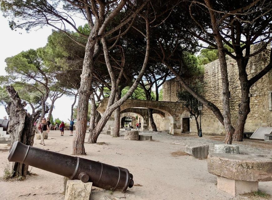 São Jorge Castle Skip-the-line Entry Ticket - Views from the hilltop, plus peacocks
