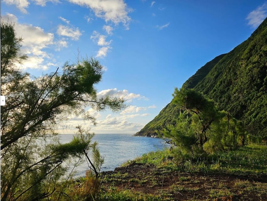 São Jorge: Island, Forest Reserve & Fajãs Guided Tour - Why this São Jorge day tour is such good value