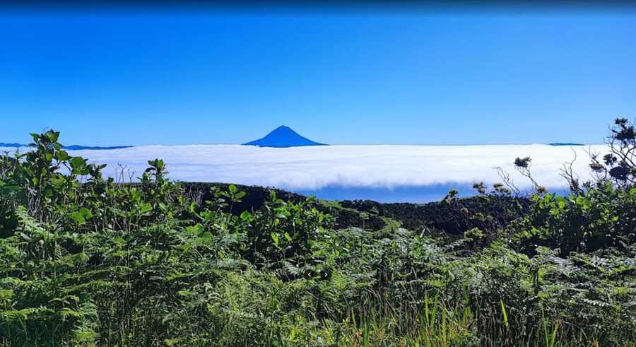 São Jorge: Island, Forest Reserve & Fajãs Guided Tour - Sete Fontes Forest Reserve: your best early photo stop