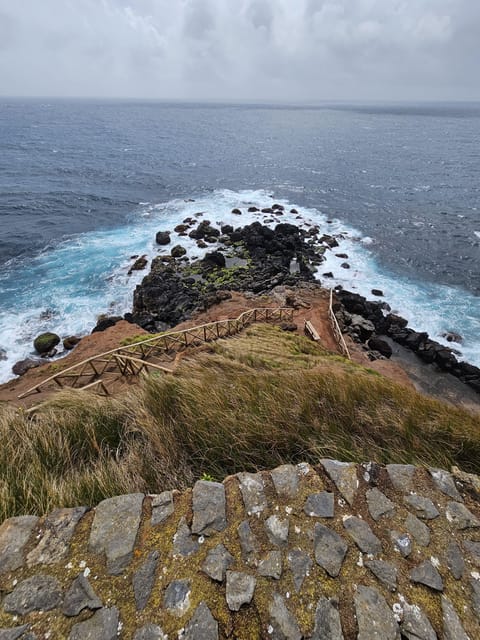 São Jorge: Island, Forest Reserve & Fajãs Guided Tour - Getting picked up in Velas or Calheta, and why small-group matters