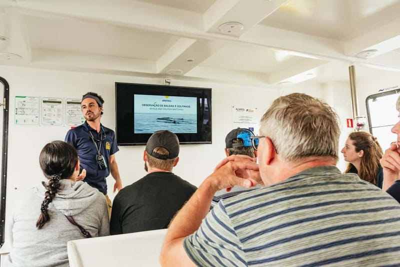 São Miguel Azores: Half-Day Whale Watching Trip - Weather plans, refunds, and how to judge your odds