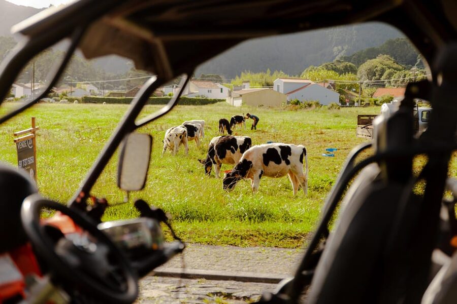 Sao Miguel: Buggy Tour Around Sete Cidades Volcano - Price and Value for a 3.5-Hour Adventure at $77