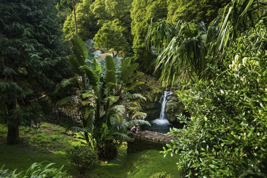 São Miguel East: Full-Day Van Tour with Lunch - The Lunch Timing That Makes the Day Feel Seamless