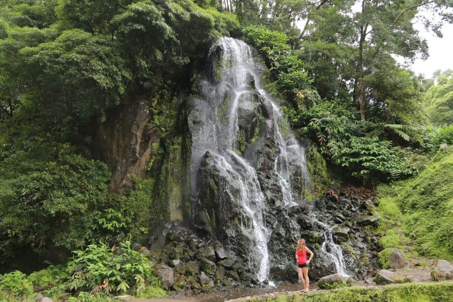 São Miguel: Furnas and Nordeste Full-Day Tour with Lunch - Lunch in Furnas, underground cozido and real choices