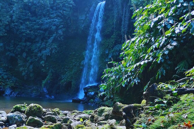 São Miguel: Majestic North Tour (Local Lunch Incl.) - Key highlights worth planning around