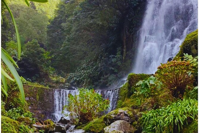 São Miguel: Majestic North Tour (Local Lunch Incl.) - Price and value: what $89.87 really covers