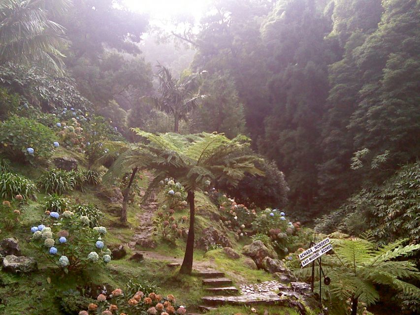 São Miguel: Nordeste, Cliffs & Waterfall Day Trip with Lunch - Key takeaways before you go