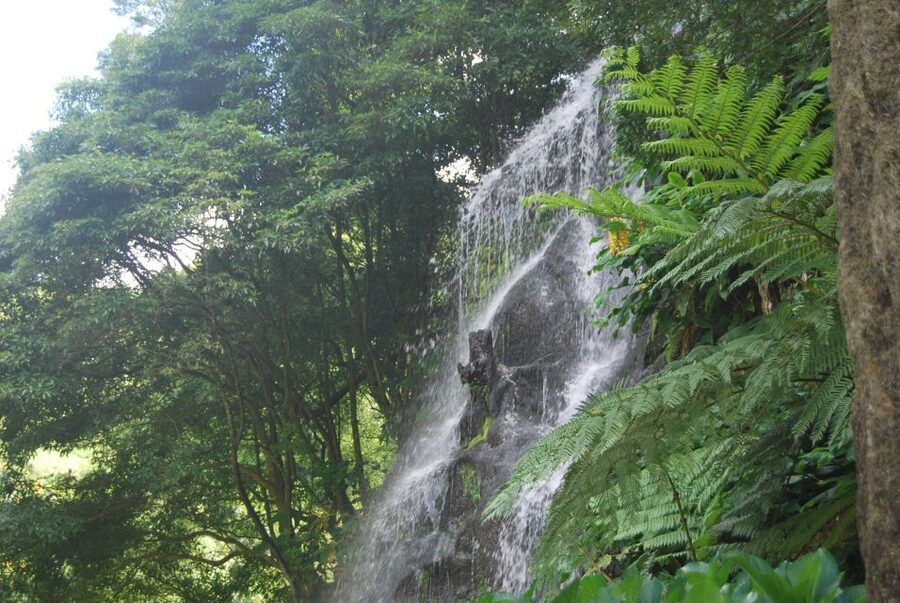 São Miguel: Nordeste, Cliffs & Waterfall Day Trip with Lunch - Nordeste, where São Miguel turns wild and remote