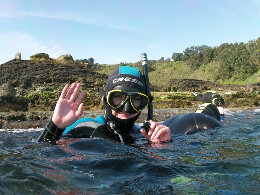Sao Miguel: Snorkeling around Vila Franca do Campo - Key highlights you will feel (and notice right away)