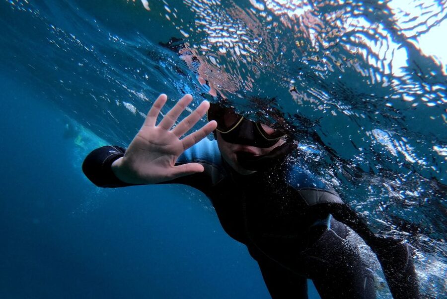 Sao Miguel: Snorkeling around Vila Franca do Campo - Getting started in Vila Franca do Campo Marina (what matters)