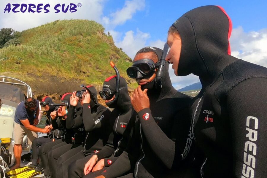Sao Miguel: Snorkeling around Vila Franca do Campo - Price and value: what $86 buys you in the Azores