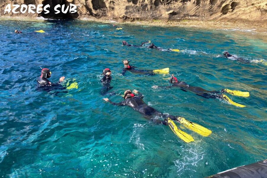 Sao Miguel: Snorkeling around Vila Franca do Campo - The speedboat run: short, fun, and usually smooth