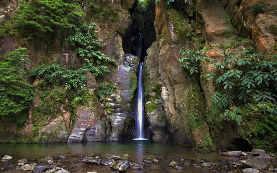 São Miguel West: Full-Day Van Tour with Lunch - Why this West São Miguel route works in one long day