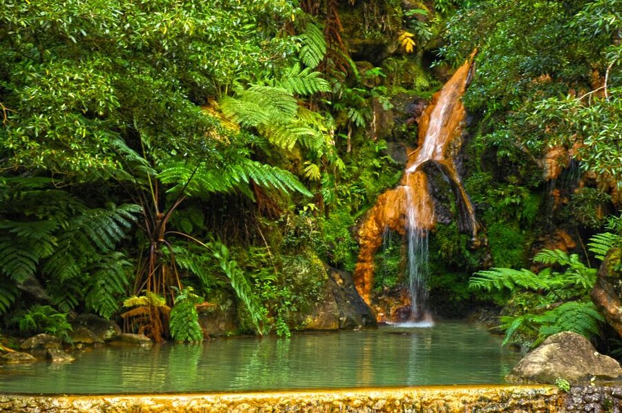 São Miguel West: Sete Cidades and Fogo Tour with Lunch - Morning Pickup, Small-Group Pace, and What 8 Hours Means