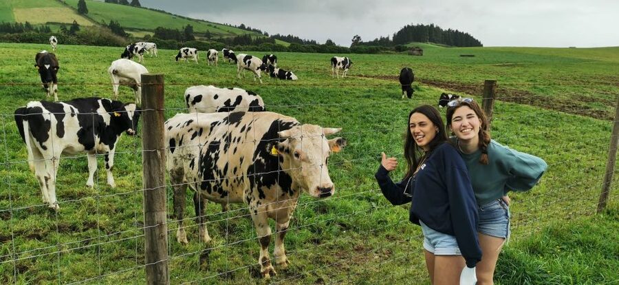 São Miguel West: Sete Cidades and Fogo Tour with Lunch - Pico da Barrosa, Lagoa do Fogo, and the View of Almost Everything
