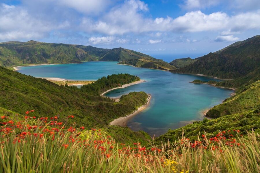 São Miguel: Whales & Volcano Full-Day Tour with Lunch - Three hours of whale watching on São Miguel’s open water
