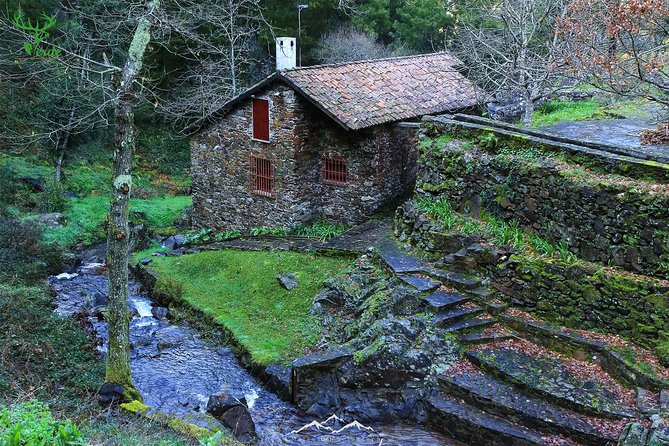 Schist Villages at Lousa Mountain - Aldeia de Gondramaz: A Restored Slate Village and Coffee Time