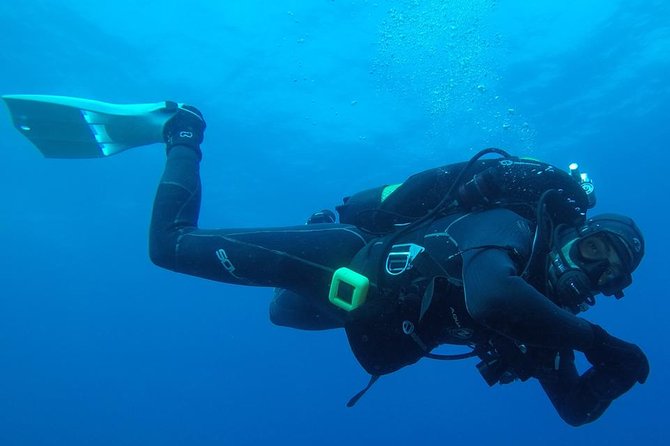 Scuba Diving Albufeira-Double Dive Trip - Gear choice keeps the morning simple
