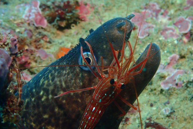 Scuba Diving Albufeira-Double Dive Trip - After the water: hot showers and logbook support