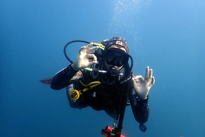 Scuba Diving Albufeira-Double Dive Trip - Price and value: what $101.59 includes and what to budget