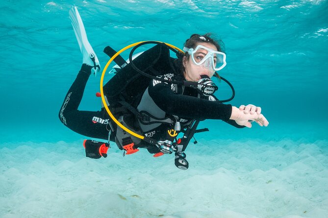 Scuba Diving Experience in Madeira - Classroom theory at Azul: what you learn before the water