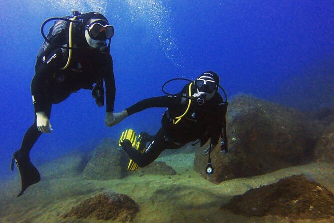 Scuba Diving Experience in Madeira - Your one real open-water session off Funchal, up to 12 meters