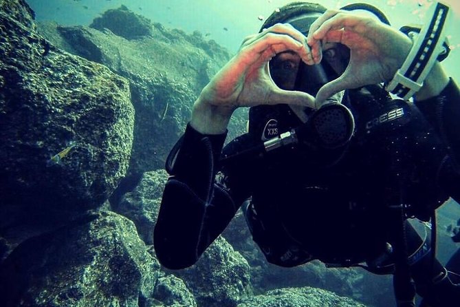 Scuba Diving Experience in Madeira - Who this is best for in Madeira