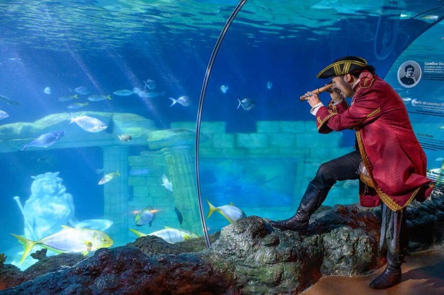 SEA LIFE Porto Full-Day Entrance Ticket - SEA LIFE Porto in Castelo do Queijo: the setting and what it feels like
