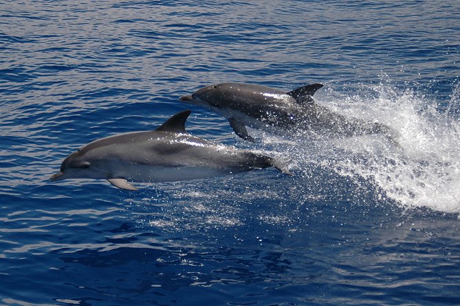 Seaborn Catamaran trips - Onboard Comfort: Drinks, Toilet, and the Small Details That Save Your Day