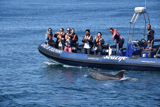 Sealife Sea Safari, Dolphin Watching with Marine Biologist's Lagos - Marine Biologists and Small-Group Dolphin Watching from Lagos Marina