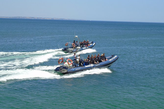 Sealife Sea Safari, Dolphin Watching with Marine Biologist's Lagos - Best Time to Go and What to Pack for Atlantic Wind