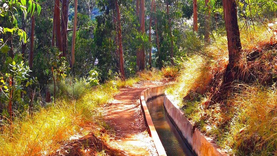 Serra de Água Valley Levada Walk - Key Things to Know Before You Go