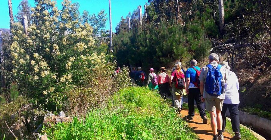 Serra de Água Valley Levada Walk - Why This 5km Serra de Água Levada Walk Feels Manageable