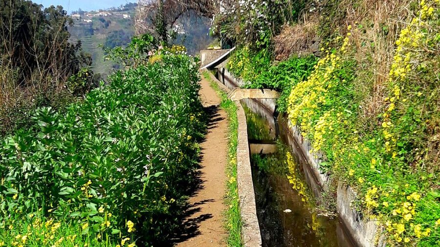 Serra de Água Valley Levada Walk - The Flow of a Half-Day: From Trailhead to Cafe Stop