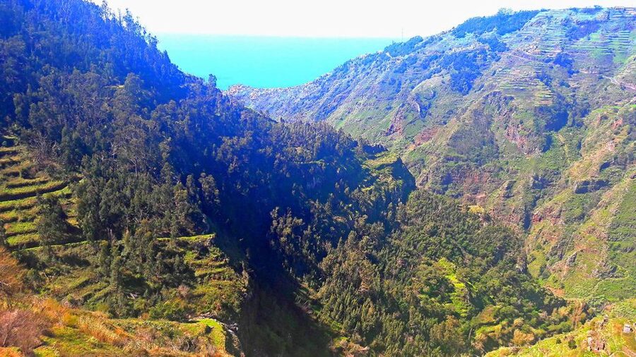 Serra de Água Valley Levada Walk - Who Should Book This Serra de Água Walk, and Who Might Skip It