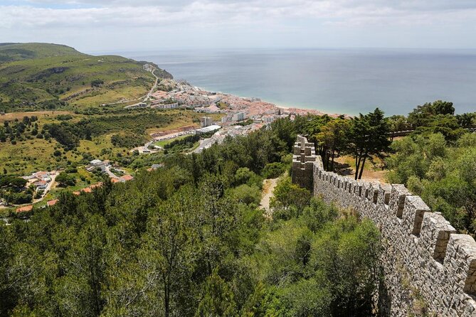 Sesimbra: Arrábida Dolphin and Whale Watching tour with biologist - Key highlights to know before you go