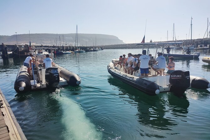 Sesimbra: Arrábida Dolphin and Whale Watching tour with biologist - Who this tour fits best (and who should think twice)