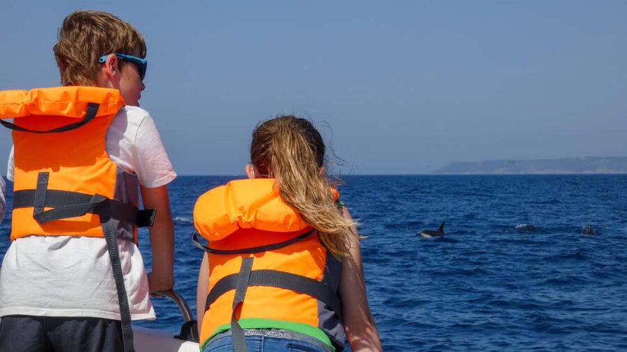 Sesimbra: Arrábida Dolphin Watching Boat Tour with Biologist - Who should book this Arrábida dolphin tour, and who might skip it