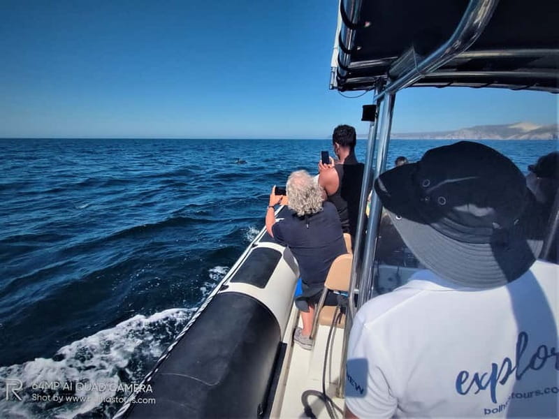 Sesimbra: Dolphin Watching Boat Tour with Biologist Guide - The biologist guide: how the explanations change what you notice