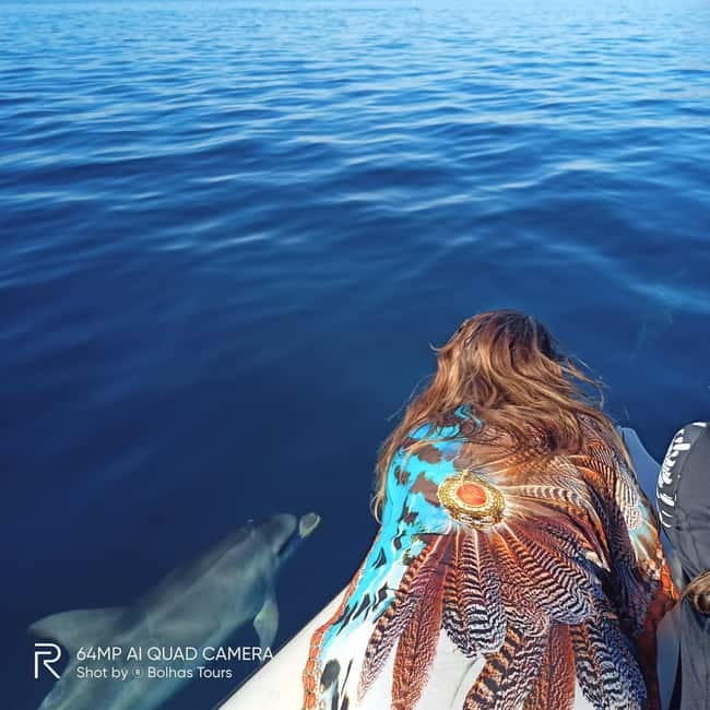 Sesimbra: Dolphin Watching Boat Tour with Biologist Guide - What you might see: dolphins, whales, and the real meaning of “protected waters”
