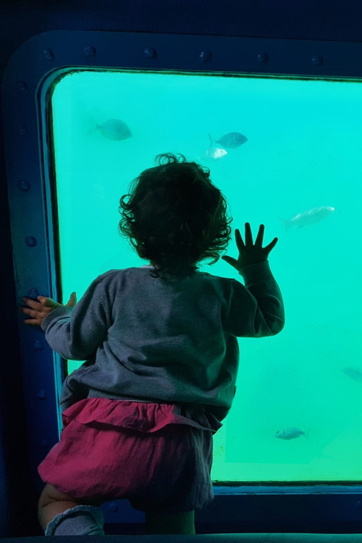 Sesimbra: Family Friendly Boat Sea Tour w/ Submarine Vision - Quick hits